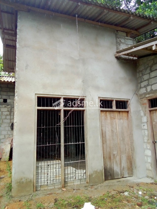 New house