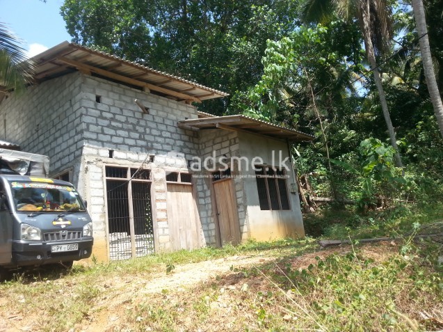 New house