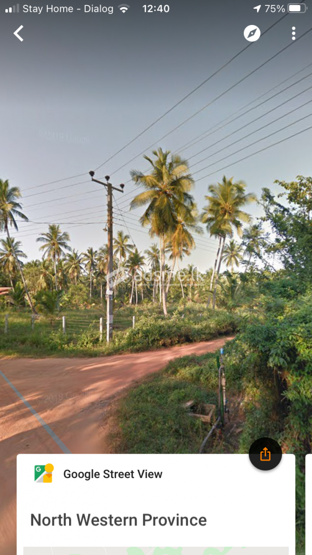 වාරියපොල පොලීසිය හංදියේ සිට 4Km දුරින් අක්කර 4 ක පොල් වත්ත විකිණීමට