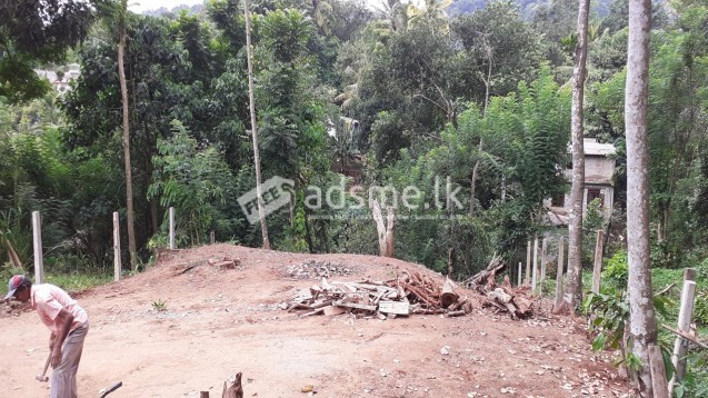 Land for sale in Nattarampotha 10p