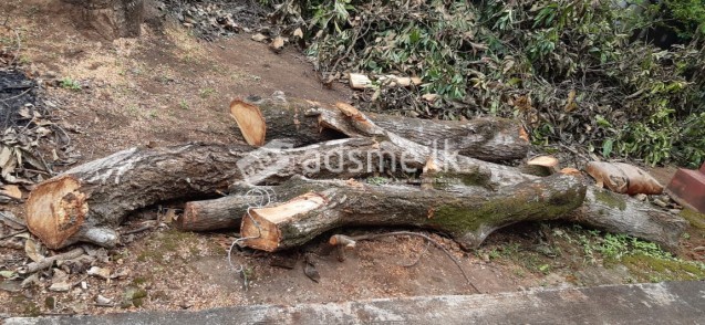 අඹ කොට/දර නොමිලේ ලබා දේ firewood, logs