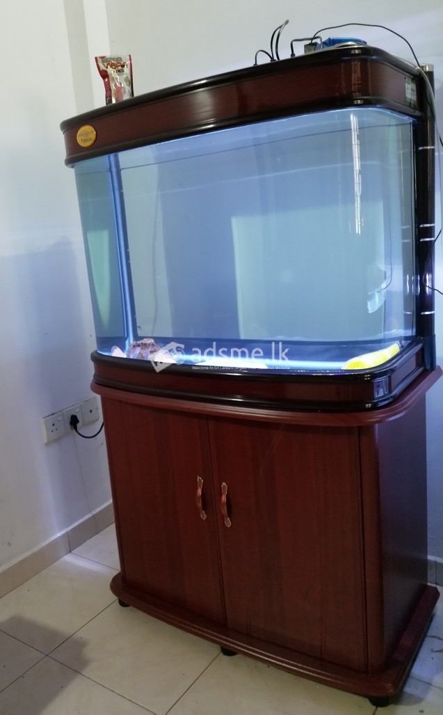 Imported Tempered Curved Glass Fish Tank