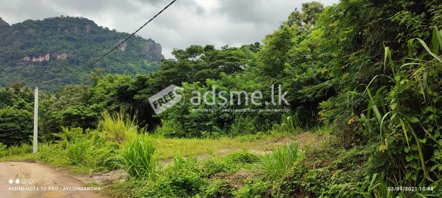 Land for sale