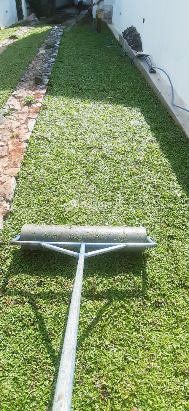 malaysian mini grass garden service