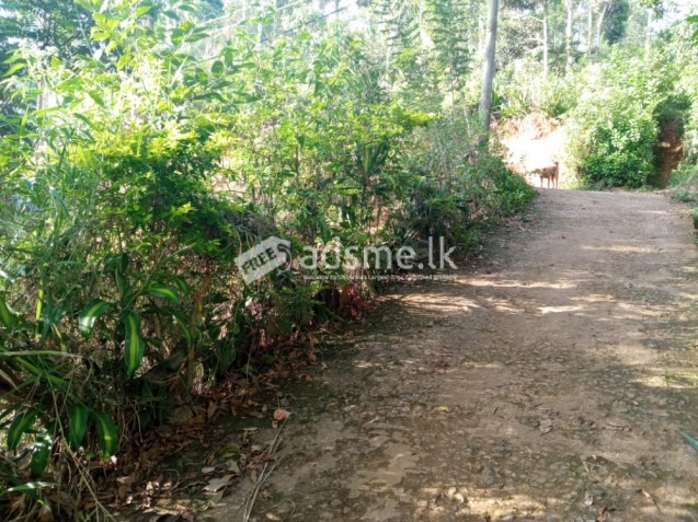 Land For Sale In Diyathalawa