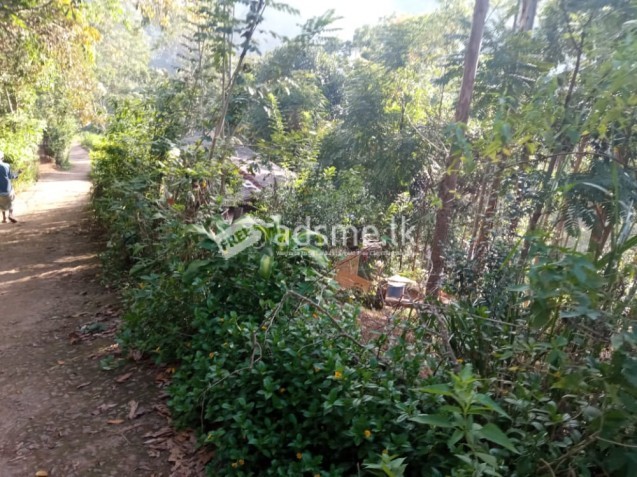 Land For Sale In Diyathalawa
