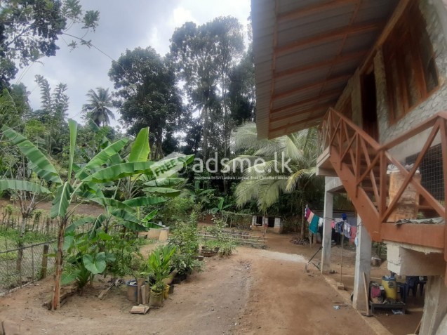 Land for Sale in Katugastota