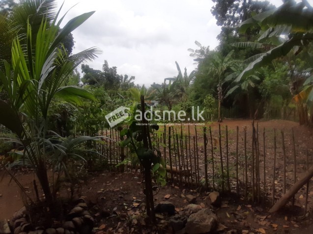 Land for Sale in Katugastota