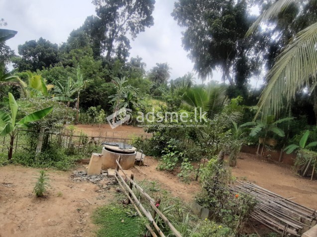 Land for Sale in Katugastota
