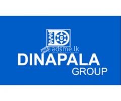 POST OF SALES EXECUTIVE / SALES ASSISTANT