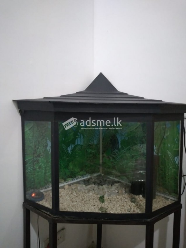 FISH TANK with COMPLETE SET
