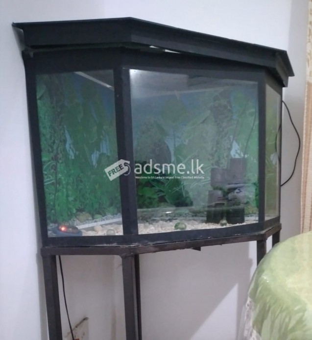 FISH TANK with COMPLETE SET