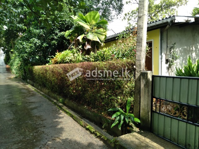 Katugastota House for Rent