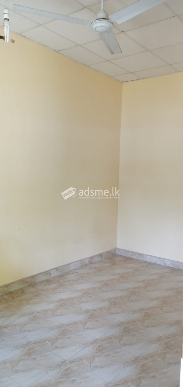Single store fully tiled house for rent