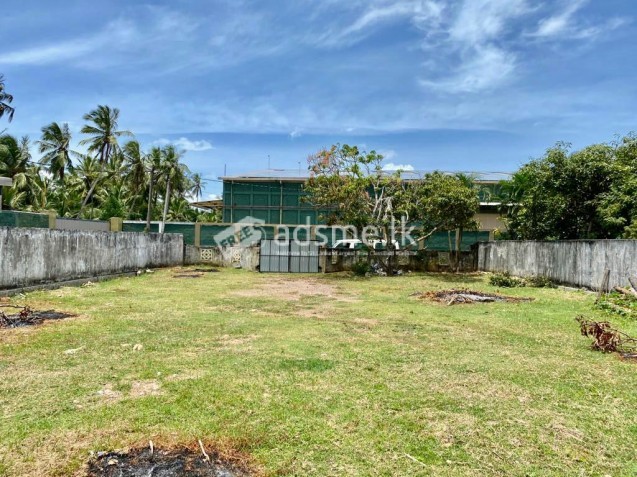 Land for sale in Pamunugama