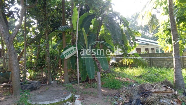 Land with the house for sale Kurunegala - Galapitamulla