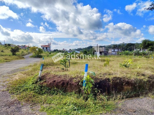 හොරණ නගරය ආසන්නයෙන් අගනා බිම් කඩක්