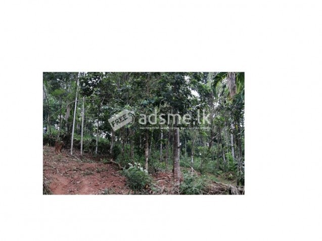 Beautiful land for sale