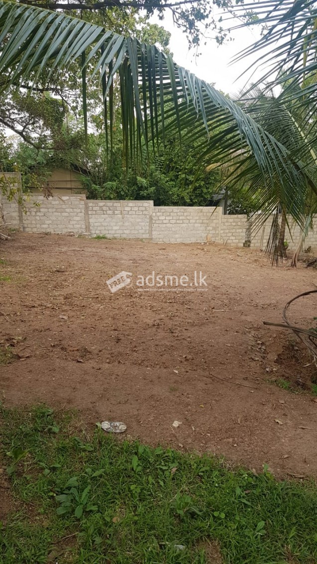 Residential Land for sale in Koswaththa, Baththaramulla