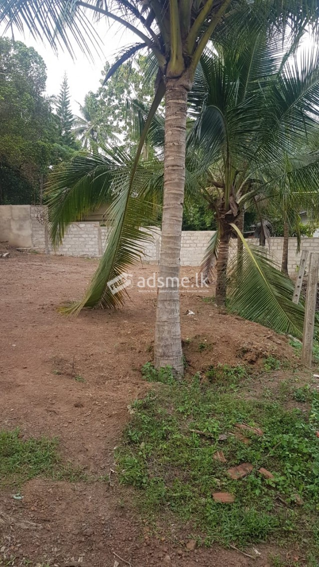 Residential Land for sale in Koswaththa, Baththaramulla