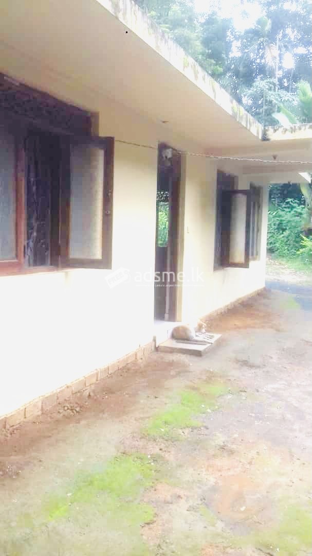 A house for immediate sale