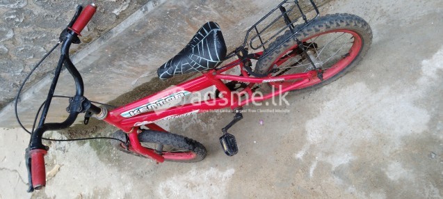 Bicycle