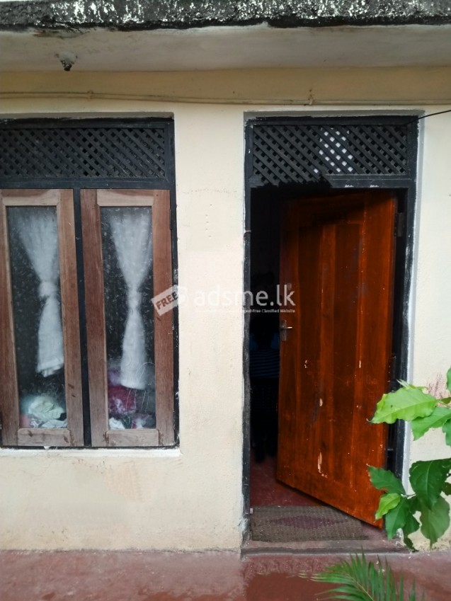 House For Rent In Mount Lavinia.