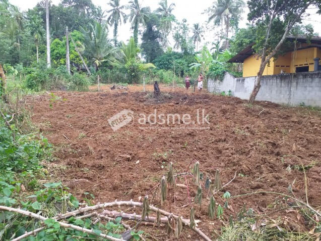 Best Price .....Residential / Agricultural land to sale in Kiriwaththuduwa , Kahathuduwa