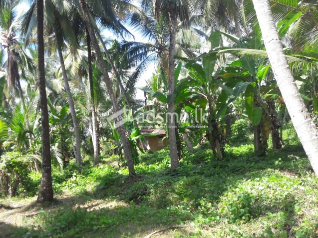 300m to nakalagamuwa highway entrace