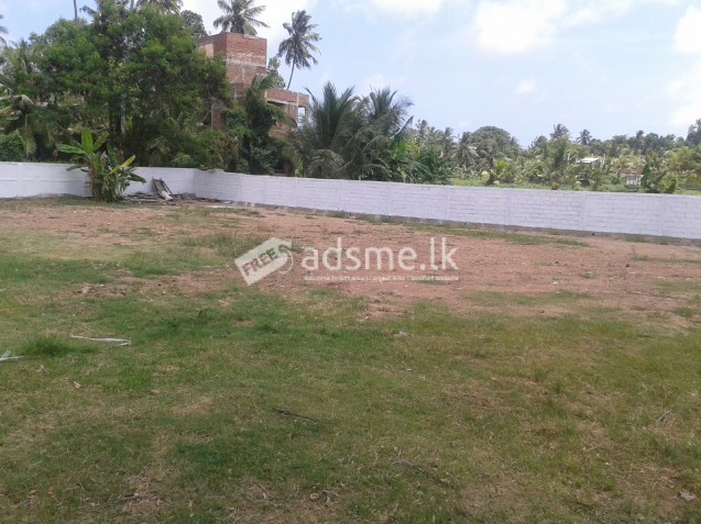 50 Perch land for sale in Welisara/ Mahabage