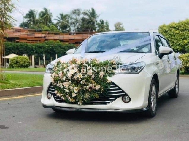 Wedding car