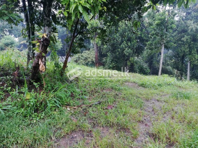 Katugasthota Land for Sale