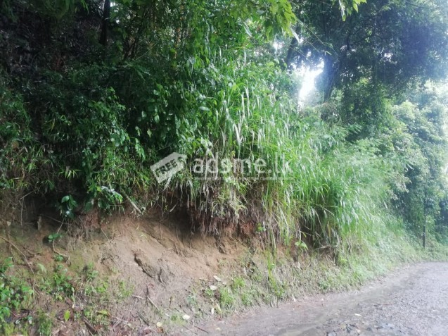 Ranawana Land for sale