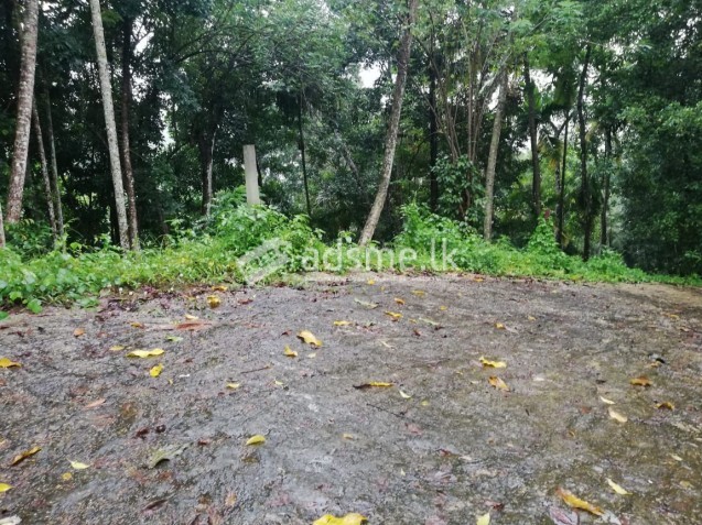Kulugammana land for sale