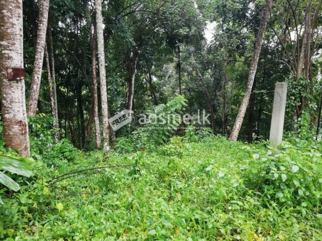 Kulugammana land for sale