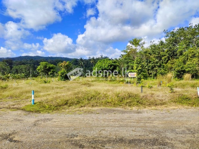 හොරණ නගරය ආසන්නයෙන් අගනා බිම් කඩක්