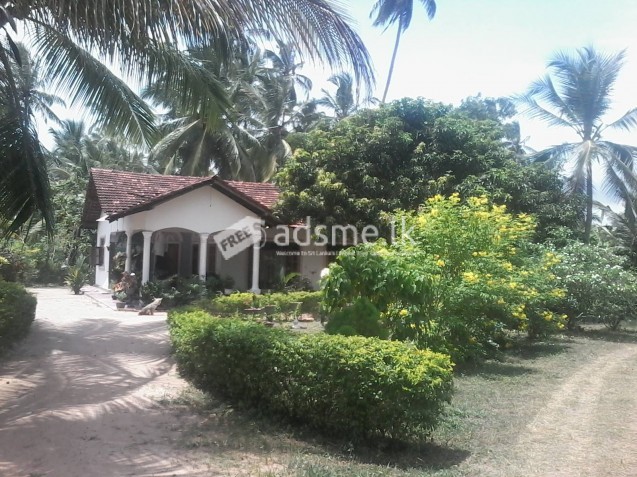 Land with house
