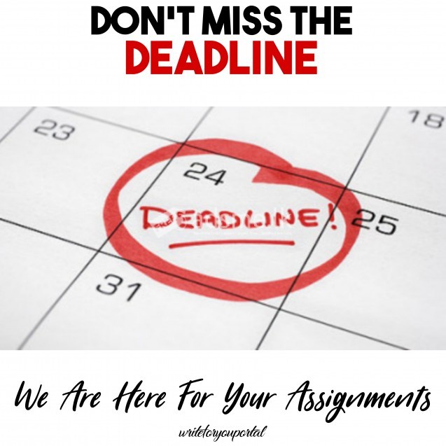 Assignment Help