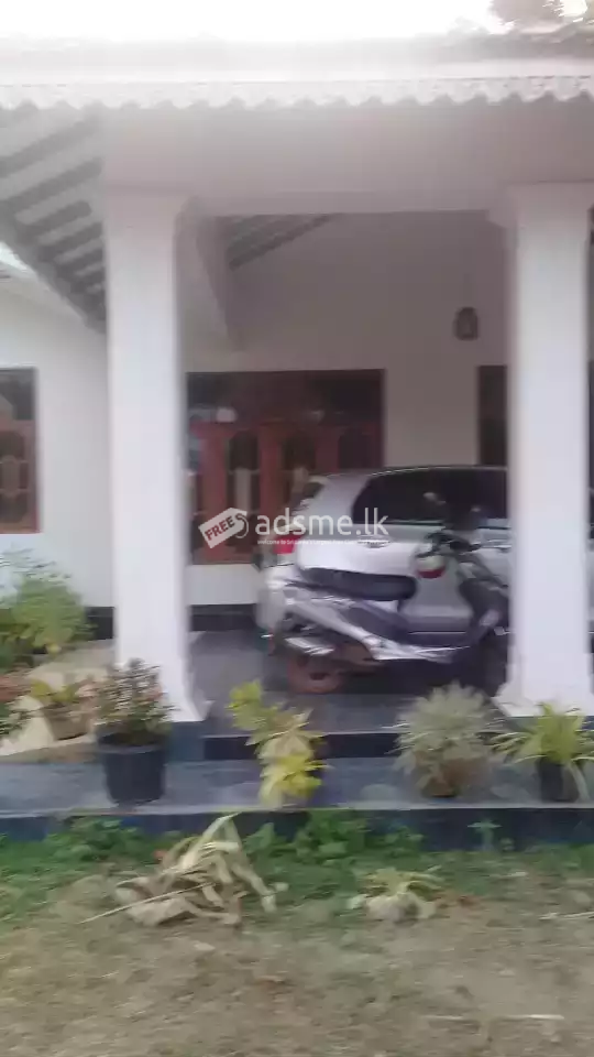 House for rent
