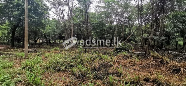 සීගිරියෙන් හොදම ඉඩමක් Land For Sale In Sigiriya