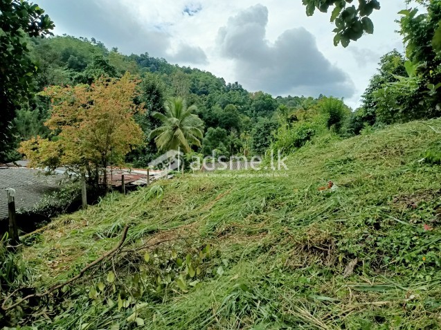 21 perch land for sale at Uda- Aludeniya , Waligalla (Kandy).