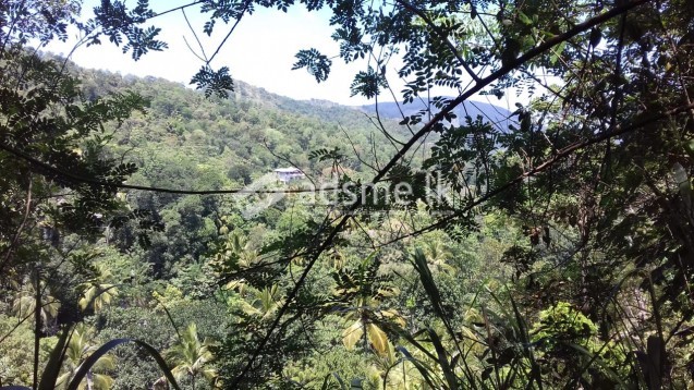 Land for sale in leula. ( Very urgent, highly negotiable)