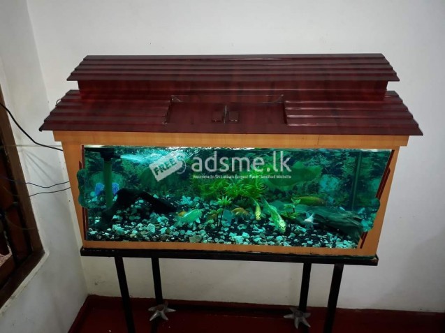 Fish tank