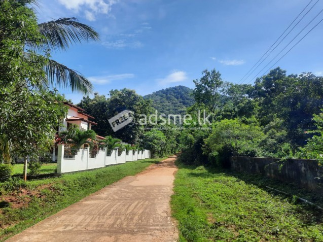 Land for Sale