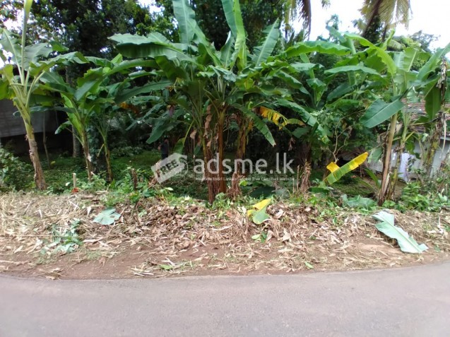 main Road face land for sale