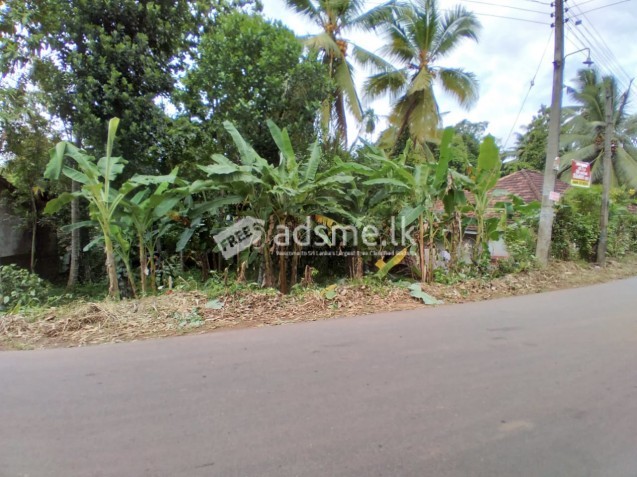 main Road face land for sale