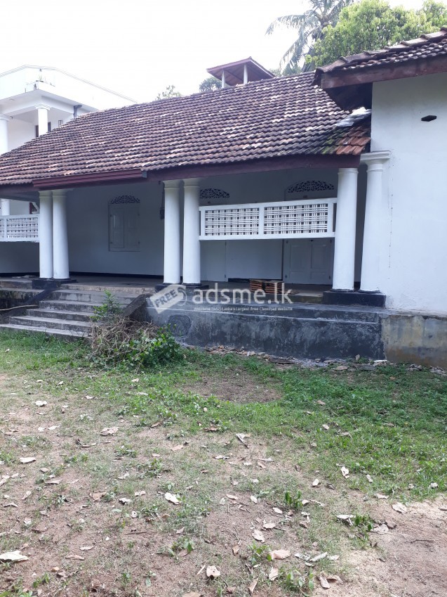 House for rent