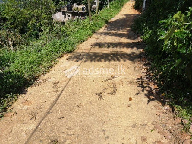 Land for sale