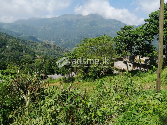 Land for sale