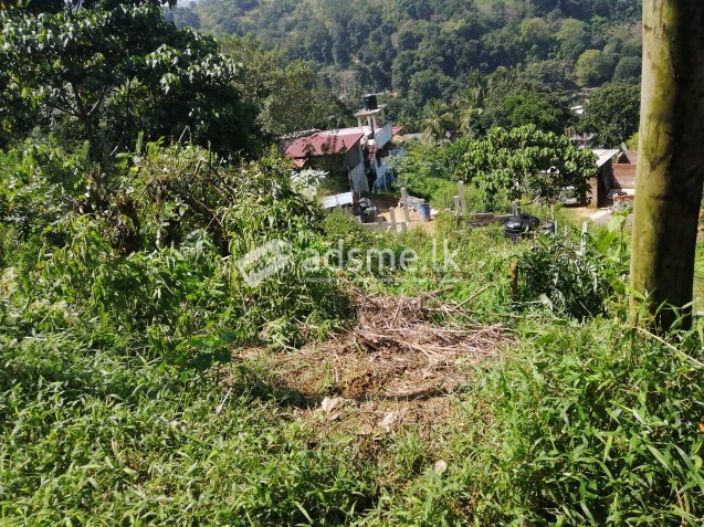 Land for sale